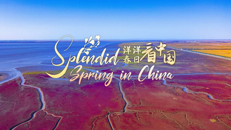 Chinas_Red_Beach_Liaonings_Seepweed_Wonderland_and_Bird_Paradise_poster - Khabar Asia China's Red Beach: Liaoning's Seepweed Wonderland and Bird Paradise video poster