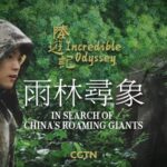 China's Roaming Giants: A Journey Through Yunnan's Asian Elephant Migration video poster