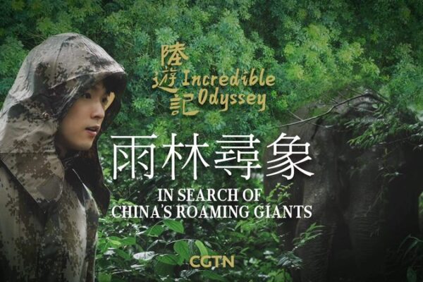 China’s Roaming Giants: A Journey Through Yunnan’s Asian Elephant Migration China's Roaming Giants: A Journey Through Yunnan's Asian Elephant Migration video poster