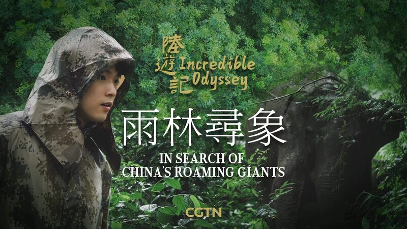 Chinas_Roaming_Giants_A_Journey_Through_Yunnans_Asian_Elephant_Migration_poster - Khabar Asia China's Roaming Giants: A Journey Through Yunnan's Asian Elephant Migration video poster