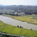 China's Rural Revitalization Inspires Global Agricultural Solutions video poster