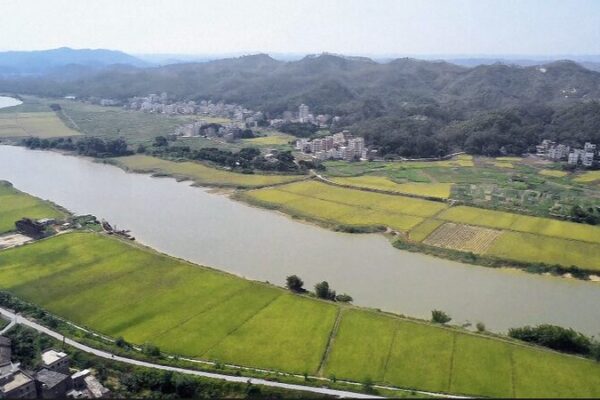 China's Rural Revitalization Inspires Global Agricultural Solutions video poster