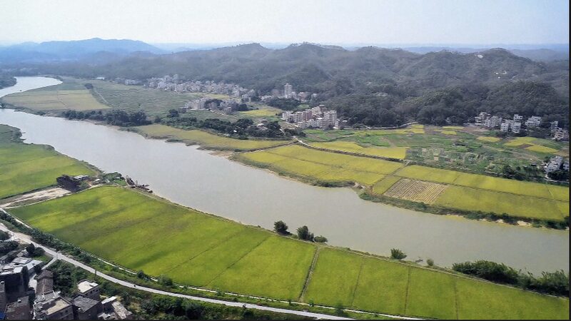 China's Rural Revitalization Inspires Global Agricultural Solutions video poster