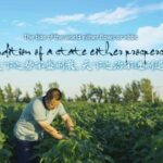 China's Seed Security: The Quest for Agricultural Self-Sufficiency video poster