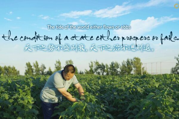China’s Seed Security: The Quest for Agricultural Self-Sufficiency China's Seed Security: The Quest for Agricultural Self-Sufficiency video poster
