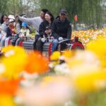 China's Spring Economy Blossoms with Tourism Surge