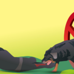 China's Supreme Court Holds Banned Dog Owners Fully Liable for Injuries