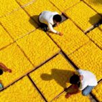 China's Targeted Poverty Alleviation: A Historic Milestone