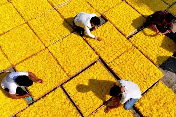 China's Targeted Poverty Alleviation: A Historic Milestone