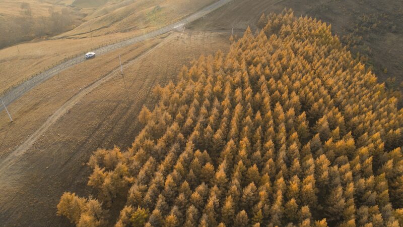 Chinas_Three-North_Program_Adds_267_Million_Hectares_of_Forest_and_Grassland - Khabar Asia China's Three-North Program Adds 2.67 Million Hectares of Forest and Grassland