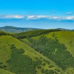 China's Three-North Shelterbelt Program: Greening the Land After 46 Years