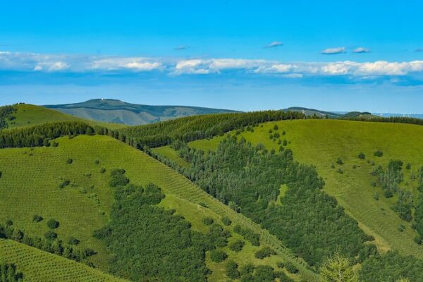 China's Three-North Shelterbelt Program: Greening the Land After 46 Years