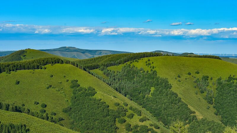 China's Three-North Shelterbelt Program: Greening the Land After 46 Years