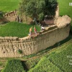 China's Tulou: Preserving a Century-Old Architectural Heritage video poster