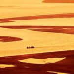 China's Yellow River Launches Annual Fishing Ban to Protect Aquatic Life