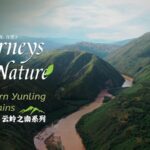China's Yuanjiang River Valley: A Savanna in the Heart of Asia video poster