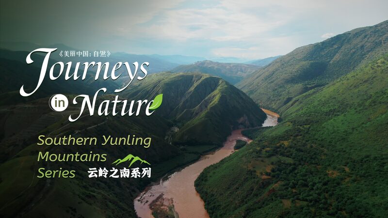 Chinas_Yuanjiang_River_Valley_A_Savanna_in_the_Heart_of_Asia_poster - Khabar Asia China's Yuanjiang River Valley: A Savanna in the Heart of Asia video poster