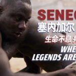 Chinese-Built Arena Revitalizes Senegal's Wrestling Heritage video poster