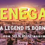 Chinese-Built Arena Revitalizes Traditional Wrestling in Senegal video poster