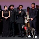 Chinese Arts Shine Internationally: 'Black Dog' Wins at Cannes, Zhang Ziyi Returns