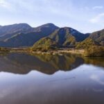 Chinese_Energy_Firms_Advocate_for_Greater_Biodiversity_Conservation
