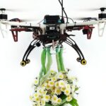 Chinese Engineers Develop Plant-Inspired Soft Drone Grippers for Delicate Tasks