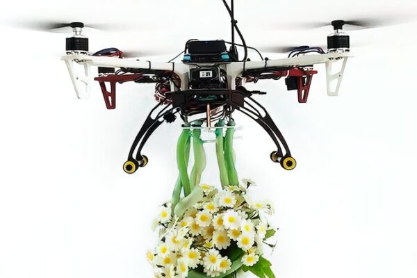 Chinese Engineers Develop Plant-Inspired Soft Drone Grippers for Delicate Tasks