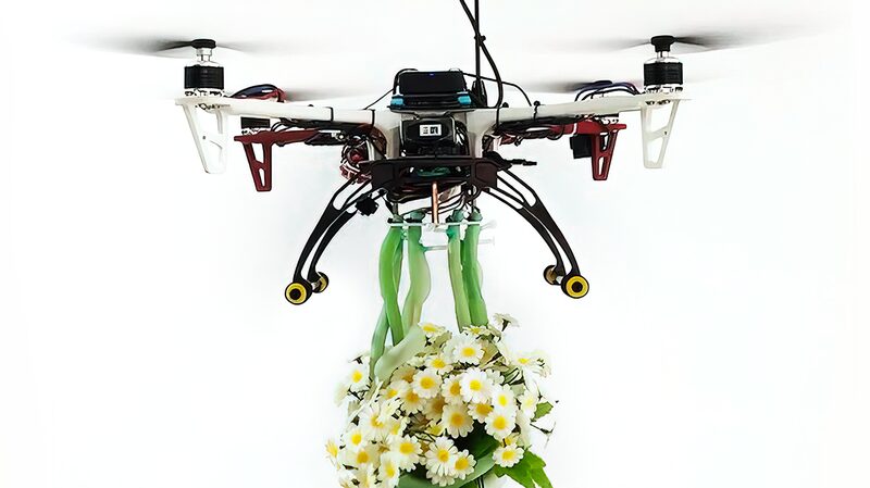 Chinese_Engineers_Develop_Plant-Inspired_Soft_Drone_Grippers_for_Delicate_Tasks - Khabar Asia Chinese Engineers Develop Plant-Inspired Soft Drone Grippers for Delicate Tasks