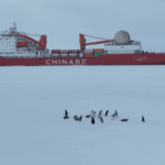 Chinese_Icebreakers_Converge_in_Antarctica_to_Build_Qinling_Station