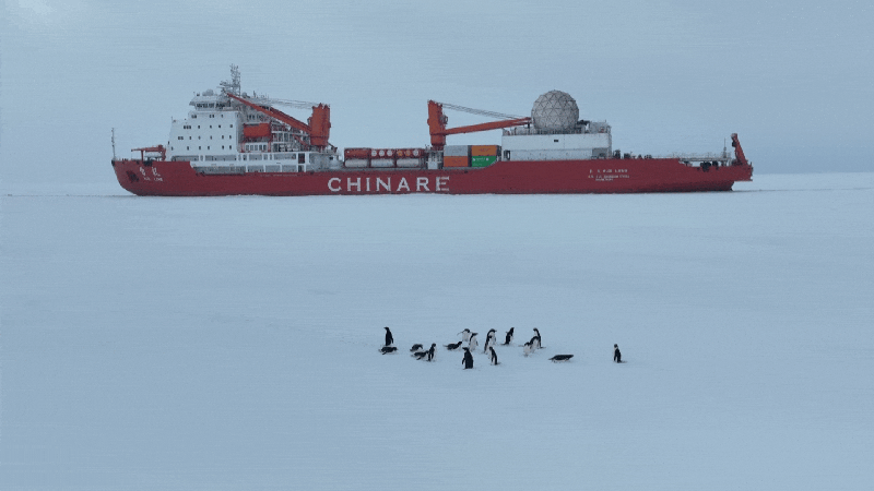 Chinese_Icebreakers_Converge_in_Antarctica_to_Build_Qinling_Station - Khabar Asia Chinese_Icebreakers_Converge_in_Antarctica_to_Build_Qinling_Station