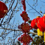 Chinese_Leaders_Extend_Spring_Festival_Greetings_to_Retired_Officials