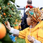 Chinese Provinces Innovate on Social Media to Boost Tourism Following Harbin's Success