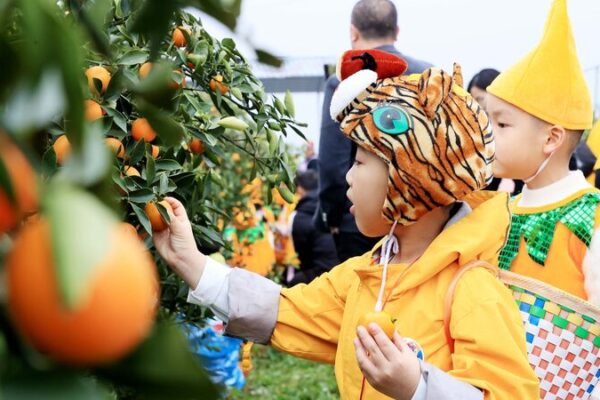 Chinese Provinces Innovate on Social Media to Boost Tourism Following Harbin’s Success Chinese Provinces Innovate on Social Media to Boost Tourism Following Harbin's Success