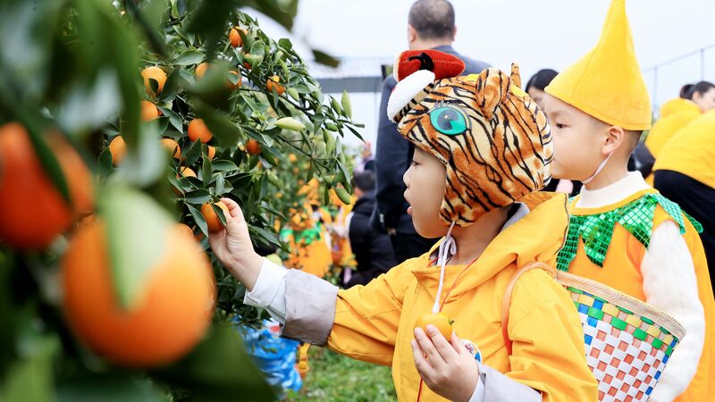 Chinese Provinces Innovate on Social Media to Boost Tourism Following Harbin's Success