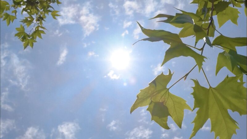 Chinese_Provinces_Strengthen_Power_and_Water_Supply_Amid_Intense_Summer_Heat video poster