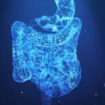 Chinese Researchers Uncover How Fat-Fueled Gut Microbes Promote Cancer Progression