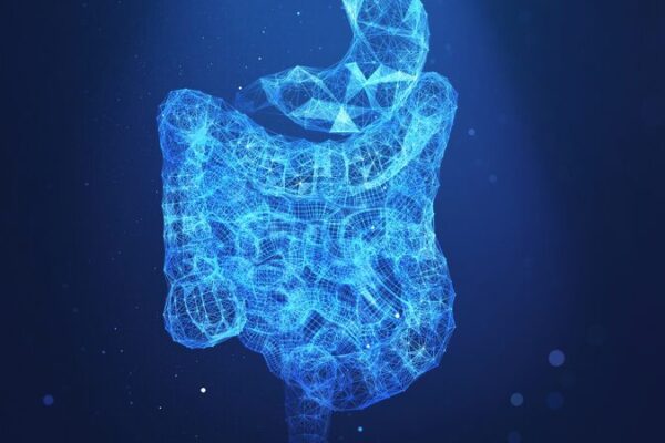 Chinese Researchers Uncover How Fat-Fueled Gut Microbes Promote Cancer Progression Chinese Researchers Uncover How Fat-Fueled Gut Microbes Promote Cancer Progression
