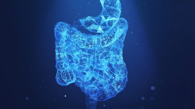 Chinese_Researchers_Uncover_How_Fat-Fueled_Gut_Microbes_Promote_Cancer_Progression - Khabar Asia Chinese Researchers Uncover How Fat-Fueled Gut Microbes Promote Cancer Progression