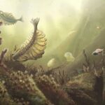 Chinese_Researchers_Unveil_Key_Factors_Behind_Cambrian_Explosion