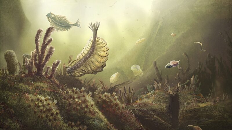Chinese_Researchers_Unveil_Key_Factors_Behind_Cambrian_Explosion - Khabar Asia Chinese_Researchers_Unveil_Key_Factors_Behind_Cambrian_Explosion