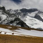 Chinese Researchers Unveil Permafrost Dynamics on Qinghai-Xizang Plateau