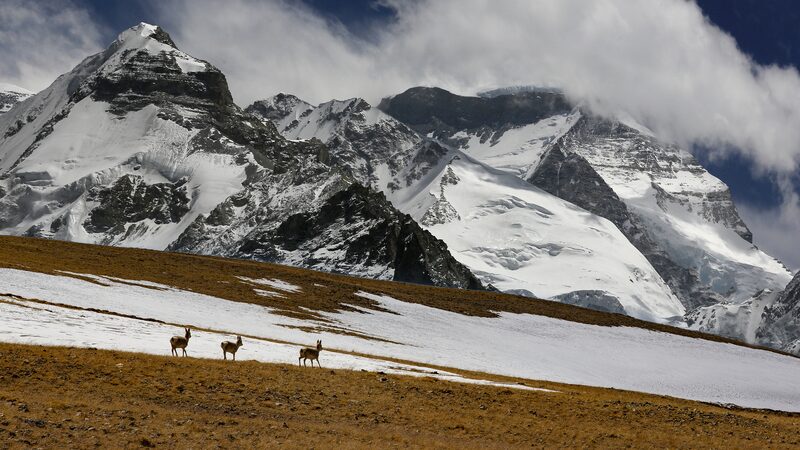 Chinese_Researchers_Unveil_Permafrost_Dynamics_on_Qinghai-Xizang_Plateau - Khabar Asia Chinese Researchers Unveil Permafrost Dynamics on Qinghai-Xizang Plateau