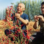 Chinese_Scientist_Lu_Qi_Honored_with_2024_UNEP_Champions_of_the_Earth_Award - Khabar Asia Chinese_Scientist_Lu_Qi_Honored_with_2024_UNEP_Champions_of_the_Earth_Award