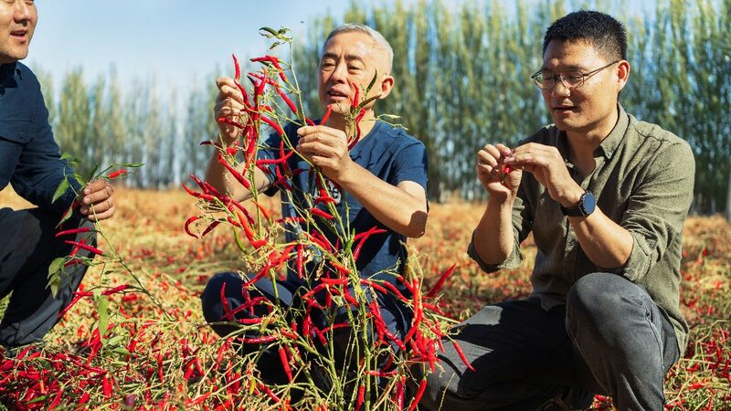 Chinese_Scientist_Lu_Qi_Honored_with_2024_UNEP_Champions_of_the_Earth_Award - Khabar Asia Chinese_Scientist_Lu_Qi_Honored_with_2024_UNEP_Champions_of_the_Earth_Award