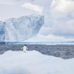 Chinese Scientists Achieve Accurate Antarctic Sea Ice Predictions Using Deep Learning