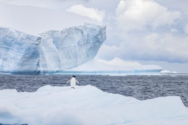 Chinese Scientists Achieve Accurate Antarctic Sea Ice Predictions Using Deep Learning Chinese Scientists Achieve Accurate Antarctic Sea Ice Predictions Using Deep Learning