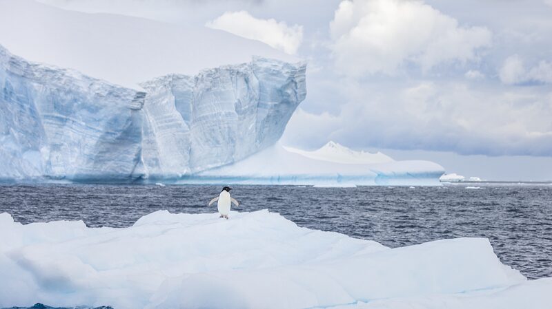 Chinese_Scientists_Achieve_Accurate_Antarctic_Sea_Ice_Predictions_Using_Deep_Learning - Khabar Asia Chinese Scientists Achieve Accurate Antarctic Sea Ice Predictions Using Deep Learning