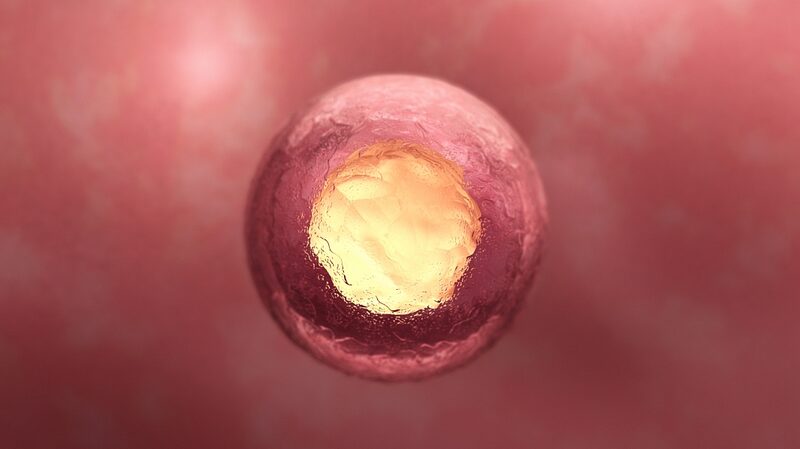 Chinese_Scientists_Create_3D_Model_of_Three-Week_Human_Embryo_Revealing_Early_Development - Khabar Asia Chinese Scientists Create 3D Model of Three-Week Human Embryo, Revealing Early Development