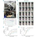 Chinese Scientists Discover Desert Moss Capable of Surviving Martian Conditions