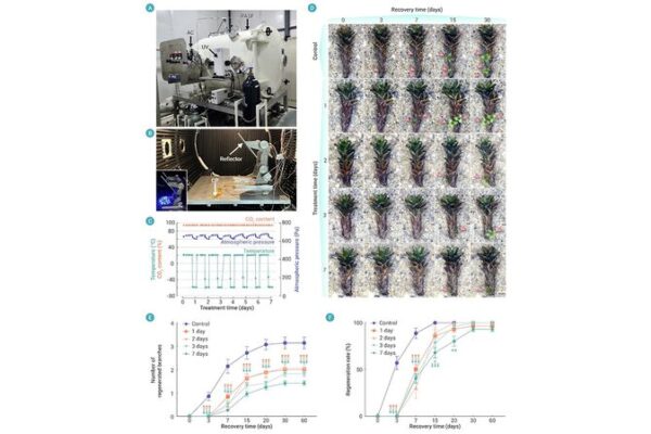 Chinese Scientists Discover Desert Moss Capable of Surviving Martian Conditions Chinese Scientists Discover Desert Moss Capable of Surviving Martian Conditions